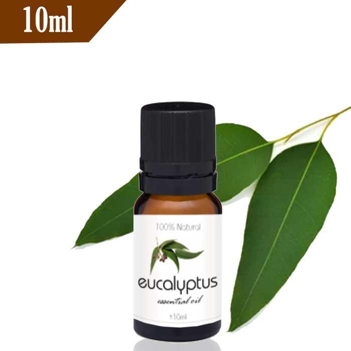 Eucalyptus Essential Oil 10ml Eucalyptus Oil