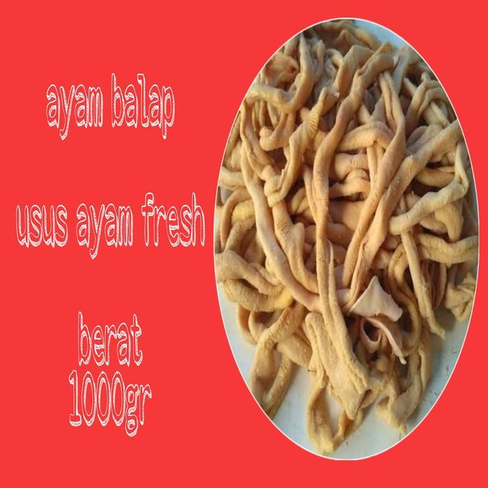 

Pilihan- Usus Ayam Segar Fresh