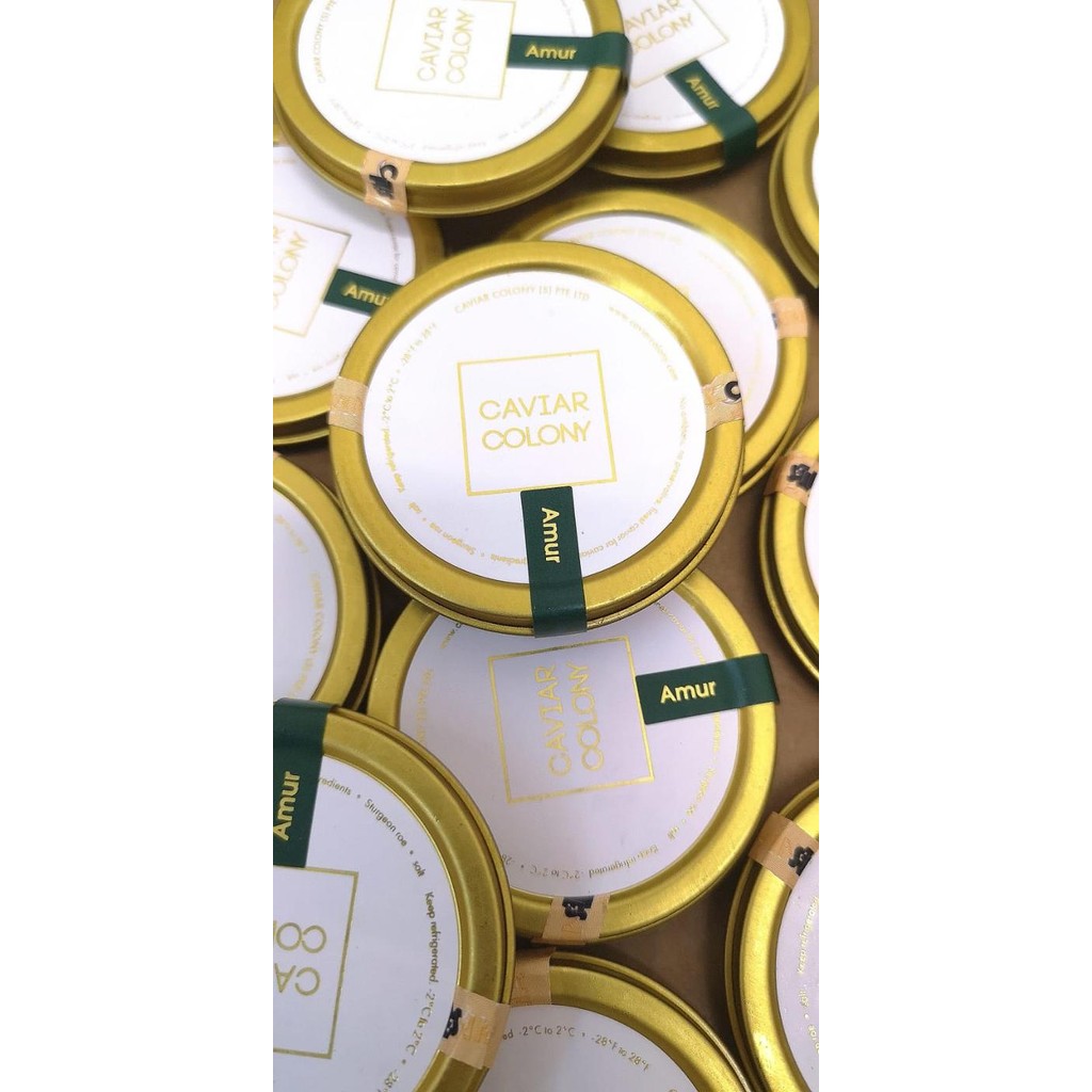 Pilihan- Kaviari Transmontanus Caviar White Sturgeon Acipenser Roes Telur Ikan