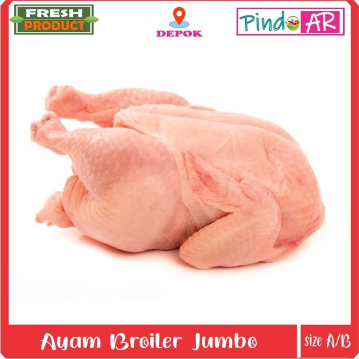 

Pilihan- Ayam Potong Segar Jumbo / Ayam Broiler Besar