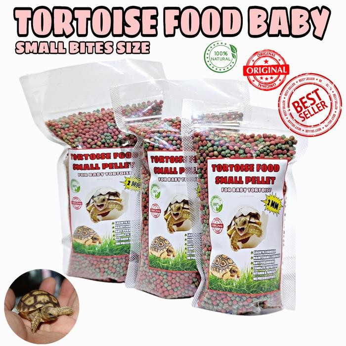 Pilihan- Makanan Kura Kura Darat Baby Anak Anakan Sulcata Sulkata Torto Pellet