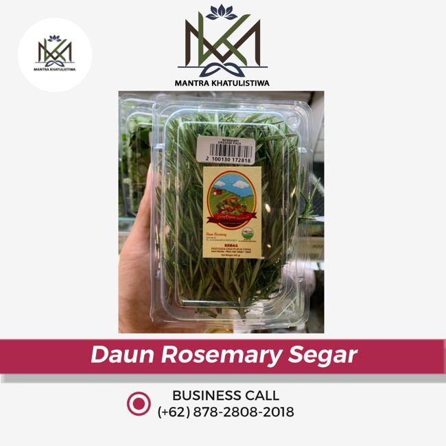 Pilihan- Daun Rosemary Segar