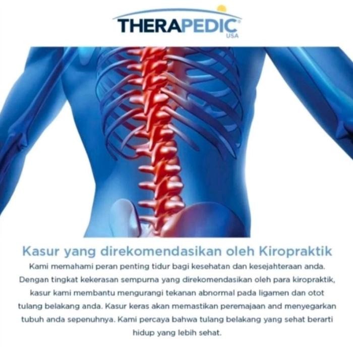 Springbed Therapedic Dr Pedic Backsense