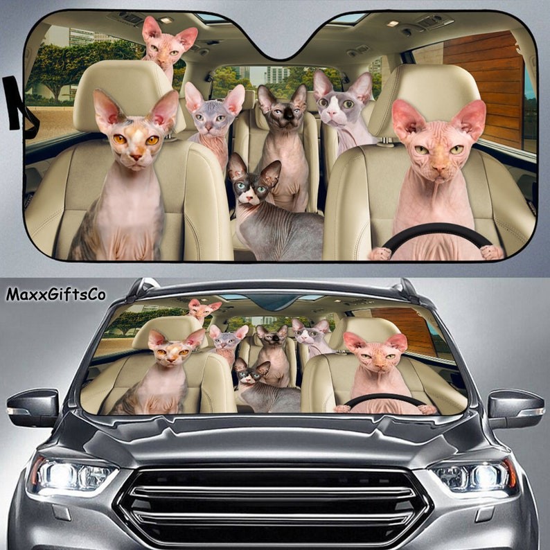 Sphynx Cat Car Sun Shade, Sphynx Cat Windshield, Cats Family
