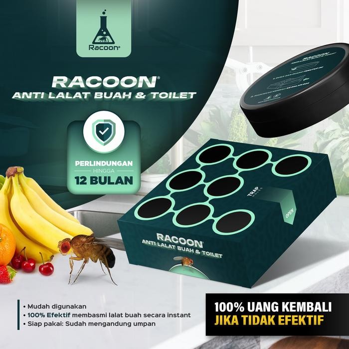 AMPUH Racoon FLYGON Racun Umpan Lalat Buah & Kamar Mandi