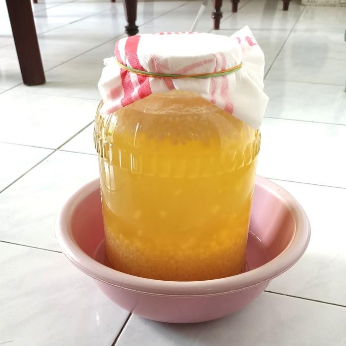 READY PROMO BIBIT KEFIR WATER/BIBIT KRISTAL ALGA JEPANG G00D QU4LITY