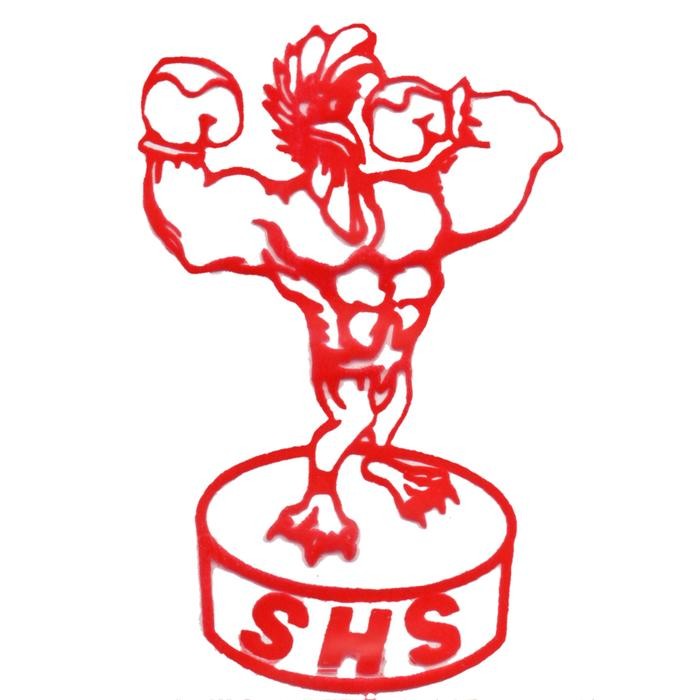 PetShoPq- Capirox 20 Obat Ayam Lumpuh Asli Original Import