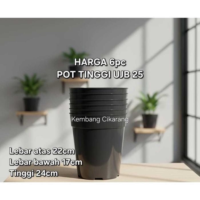 (6pc) POT UJB 25 (22CM) : pot bunga tabung tinggi polos murah bagus (ENAM) stok terbatas