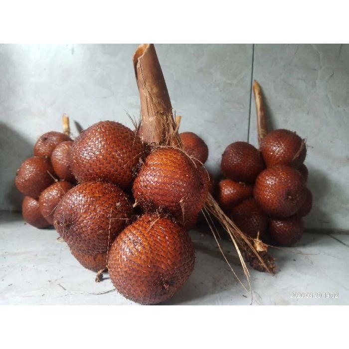 salak bali asli gede rasa asem manis sepat kualitas super 1 Kg