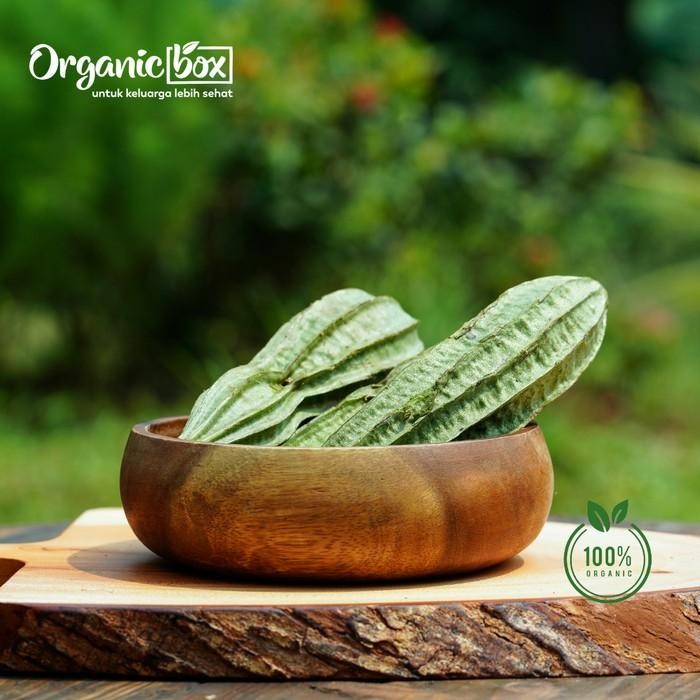 

Pilihan- Oyong Organik 500Gr Quality Farm