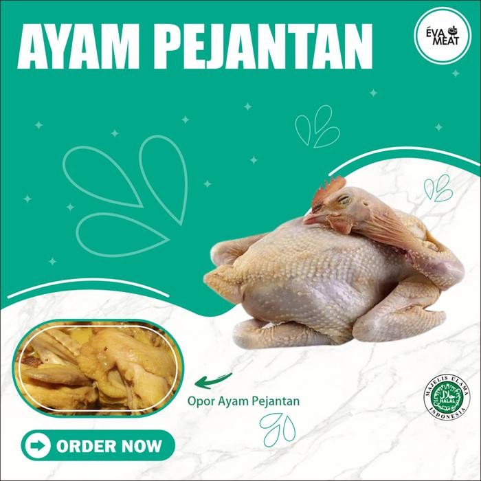 

Pilihan- Ayam Pejantan / Ayam Kalasan / Ayam Pejantan Utuh / Ayam / Pejantan