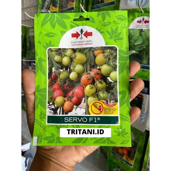 Stok Baru Benih Tomat Servo f1 Panah Merah isi 150 biji