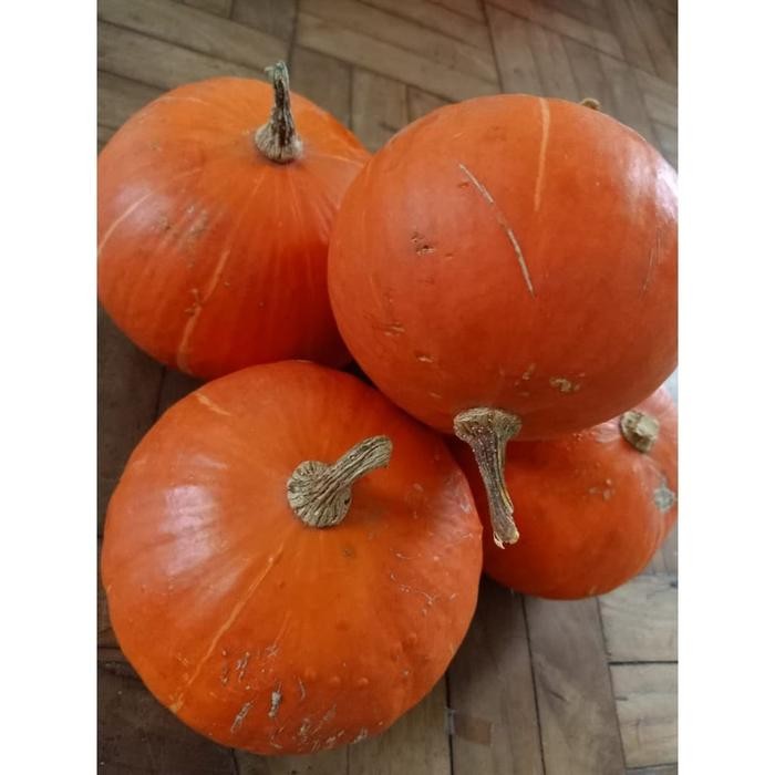 cepatDatangYa- Labu Kuning 500Gr Kaboca Kuning - Labu Kuning Kecil