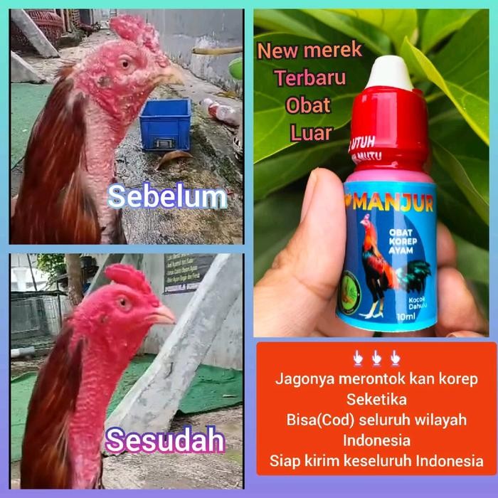 PetShoPq- Beli 1 Gratis 1 Promo Obat Korep Kurap Ayam Manjur