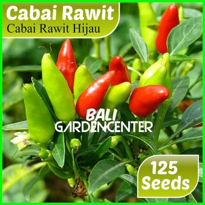 BIBIT F1 BENIH BIJI CABE CABAI RAWIT HIJAU - CABAI RAWIT UNGGUL