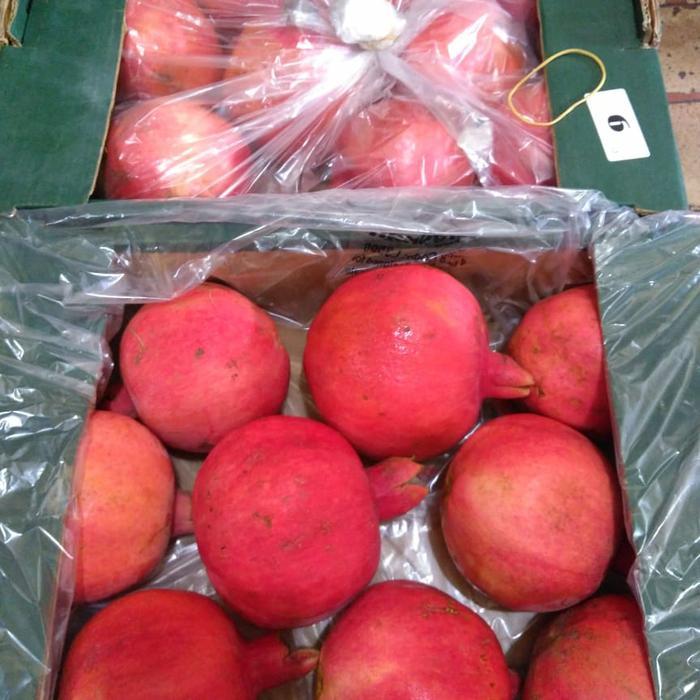 buah jeruk bali