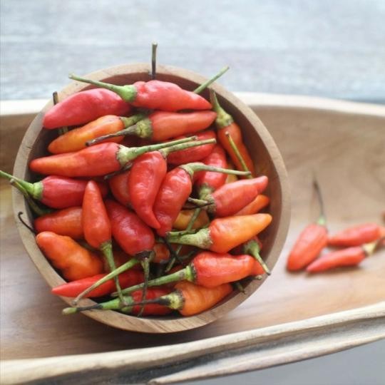 

Pilihan- Cabe Rawit Merah Pedas Setan 250 Gram