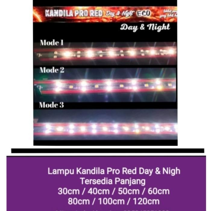 Lampu Kandila Pro Red Day And Night Eco 300 400 500 600 Dengan UVA + UVB