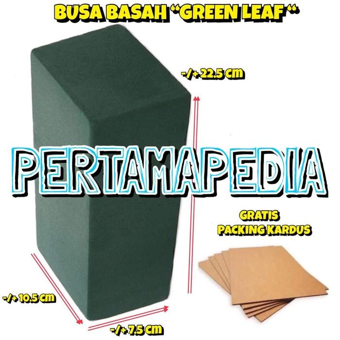 BUSA BUNGA HIDUP BUSA BASAH/ BUSA BUNGA ASLI BUSA BASAH/OASIS Aquaria