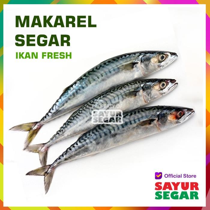 

Pilihan- Ikan Makarel / Mackerel [500G] Fresh