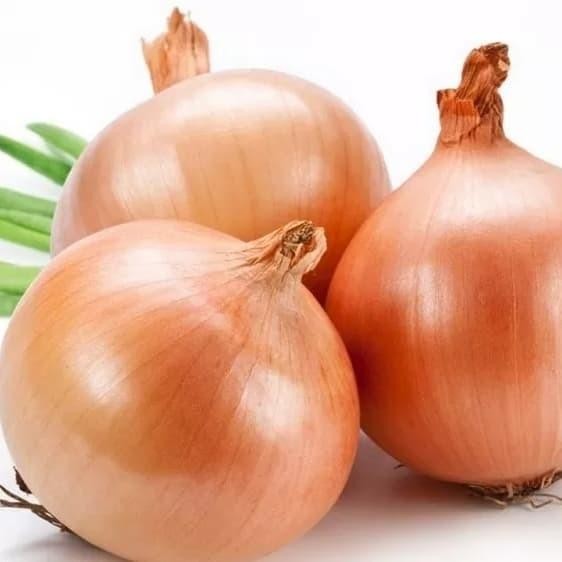 

NEW PRODUK BAWANG BOMBAY 1KG PITALOKAOUTLET23