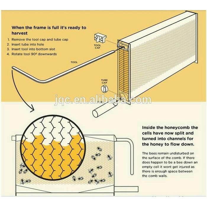 Stick Flow honey bee hive