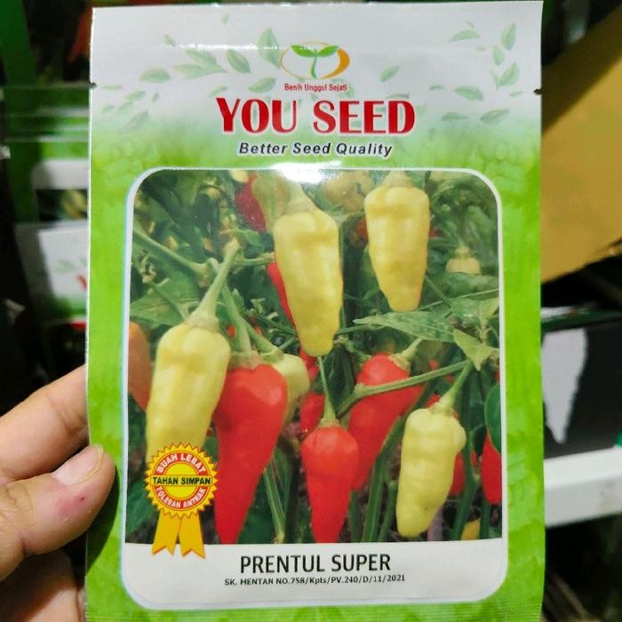 Stok Baru Benih cabe rawit PRENTUL SUPER 10 gram dari you seed cabe prentul super