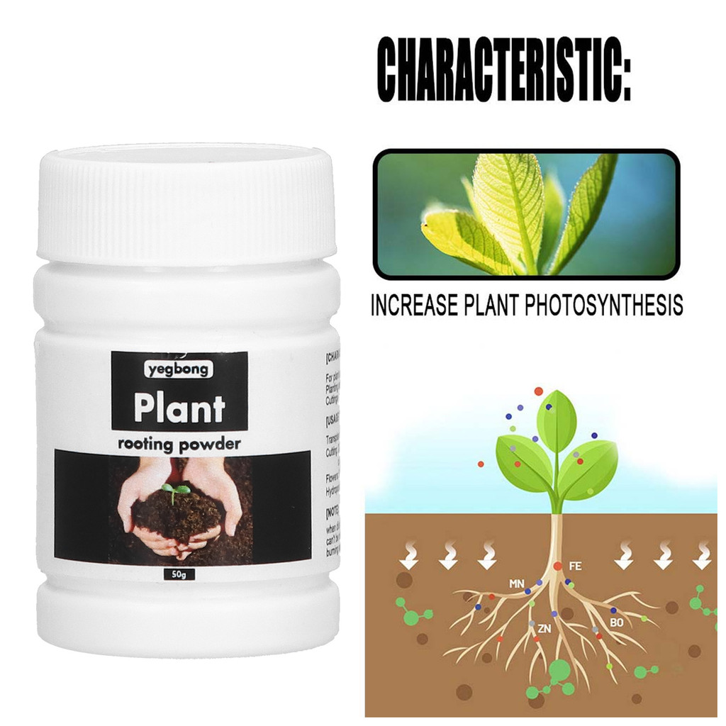 TERLARIS 50g Rooting Powder Root Fertilizer for Vegetable Fruit Trees Transplanting Seedlings Nurser