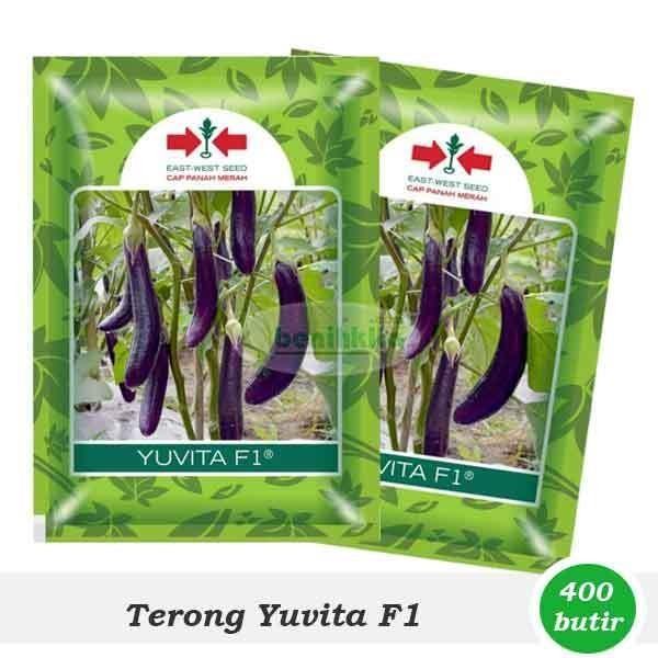 [ Benih-Bibit Terong Ungu Yuvita F1 (Cap Panah Merah) ]