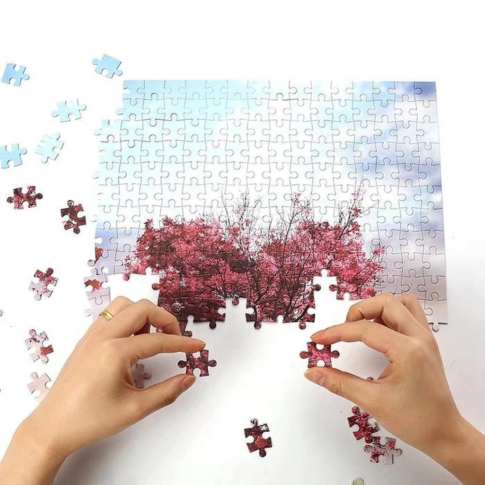 Ready Jigsaw Puzzle 1000 Pcs Paper Puzzle / Puzzle Jigsaw 1000 Pcs 50 X 75 Cm Puzzle Jigsaw 1000 Pcs
