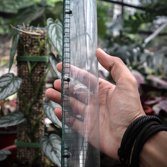GRATIS ONGKIR Turus Tanaman Turus Mika 40 cm