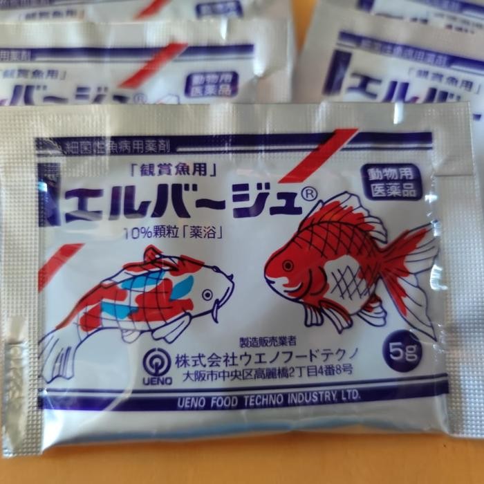 Elbayu / Obat Bakteri Ikan Koi / Obat Aeromonas / Obat Koi