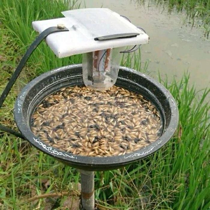 lampu perangkap hama + tangkai penyangga