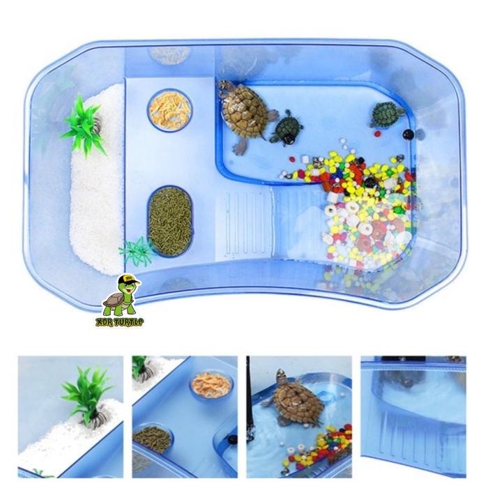 Pilihan- Kandang Kura Nx-11 Size Xxl Kura Air Brazil Res Albino Hamiltoni Damer