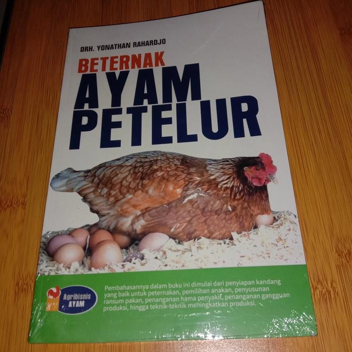 beternak ayam petelur