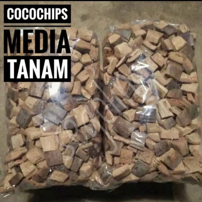 TERJAMIN coco chips media tanam anggrek 2/3
