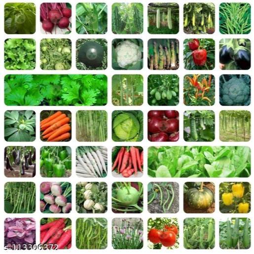 SPECIAL PAKET 20 BENIH SAYURAN DAUN SAYURAN RUMAHAN LENGKAP COD bibit sayuran benih sayuran