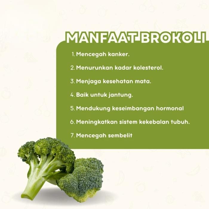 

KERIPIK BROKOLI CRISPY SNACK FREEZE DRIED HEALTHY CAMILAN ENAQK CRISPY TANPA BAHAN PENGAWET KEMASAN