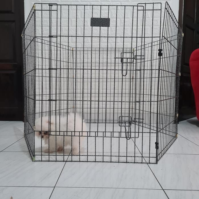 kandang pagar anjing besi kandang umbar kandang pagar