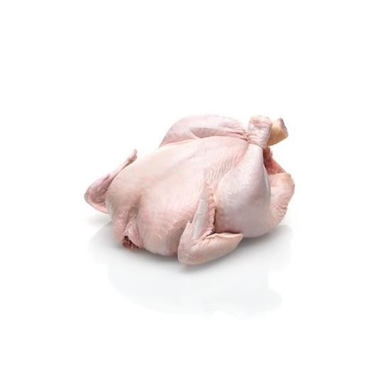 

Pilihan- Daging Ayam Broiler Premium Per Ekor