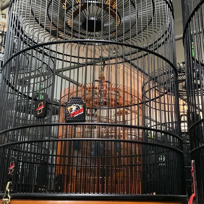 SANGKAR KANDANG MURAI CMS JATI NATURAL