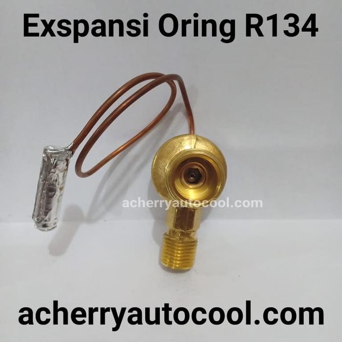 Expansi Oring R134 biasa