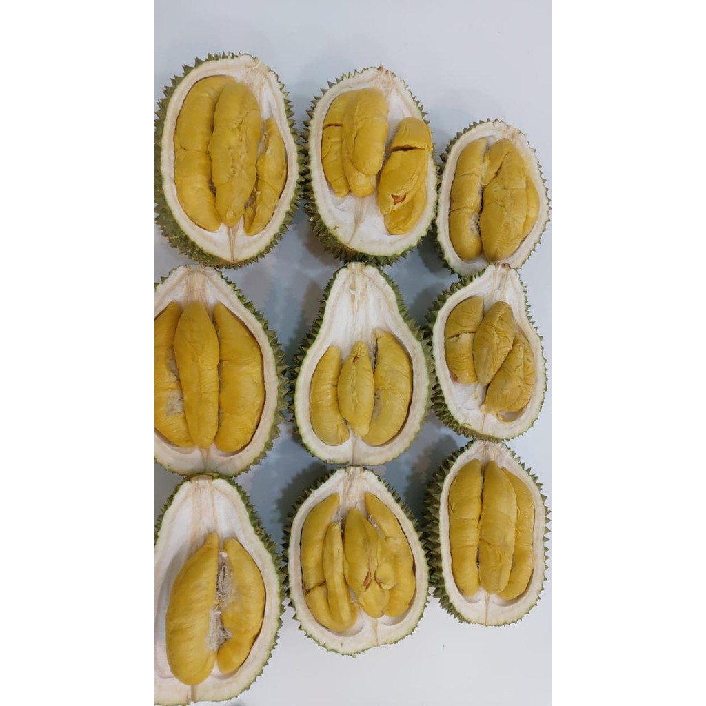 SegArRr- Durian Musangking Fresh Kupas Premium Quality