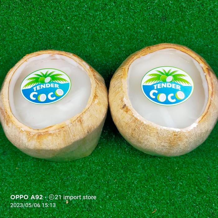 r51n- Puding Kelapa Thai Di Dalam Batok Coconut Pudding Jelly 1 Pcs