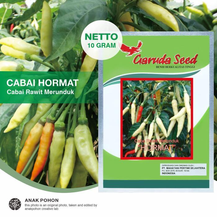 (1 PACK) Benih Cabai Rawit Merunduk HORMAT Cabe Rawit Setan Pedas F1 Benih Biji