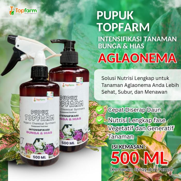 PUPUK AGLONEMA TOPFARM / PUPUK KHUSUS BUNGA AGLONEMA SIAP PAKAI / PUPUK AGLONEMA CEPAT BERANAK /