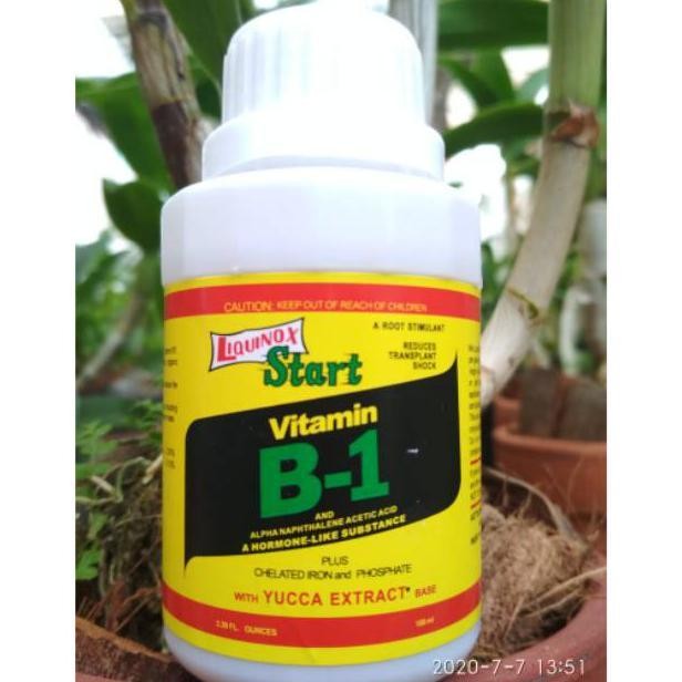 Jlterang Original Liquinox Vitamin B1 Zpt Untuk Anggrek/Aglonema