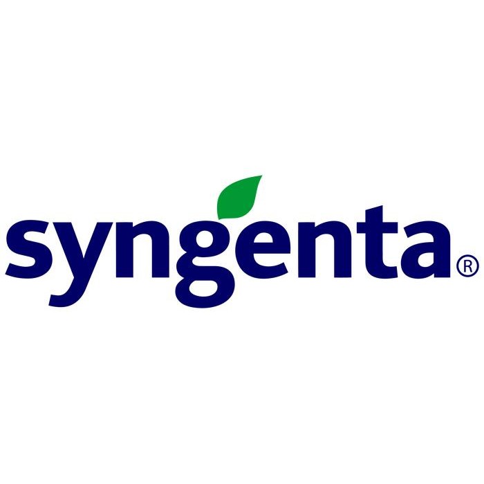 LIMITED EDITION Benih Jagung NK 7328 NK SUMO - 5Kg