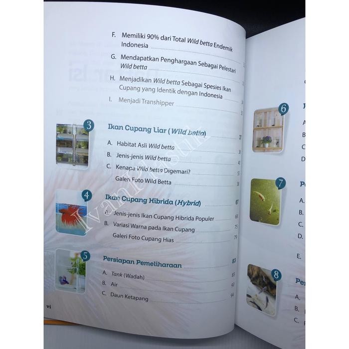 Buku Mengenai Ikan CUpang Hias Budi Daya Bisnis dan kontes