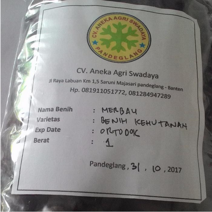 Benih Merbau